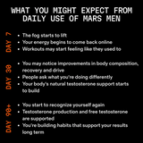 Boost Natural Testosterone Support